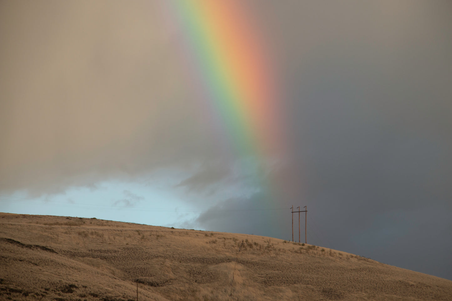 Garland Sutton - Untitled X, Palouse 16" X 24"