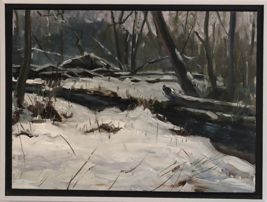 Bryan DeProspero | Winter Scene