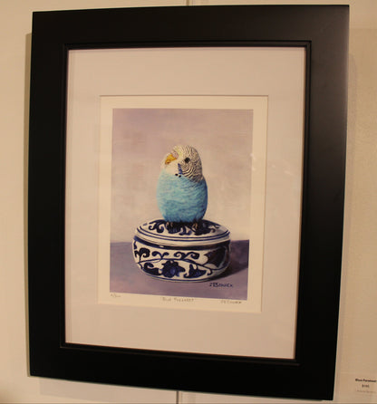 J Elaine Senack | Blue Parakeet