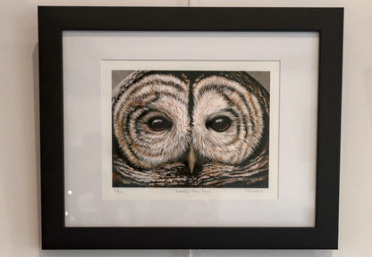 J Elaine Senack | Barred Owl Eyes