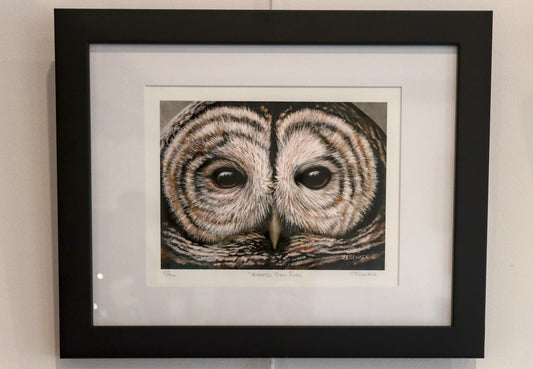 J Elaine Senack | Barred Owl Eyes